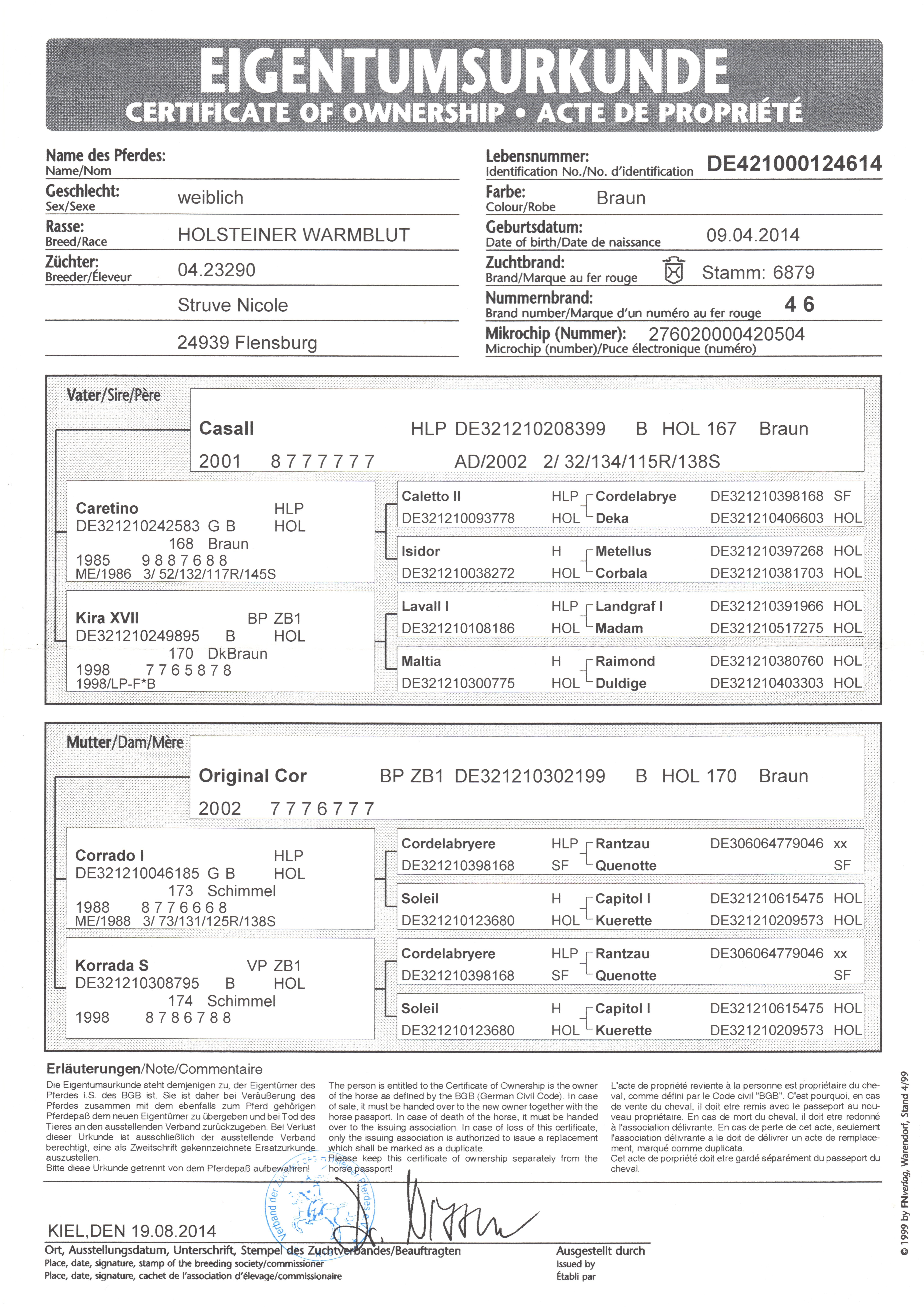 Gina Nanina Abstammung